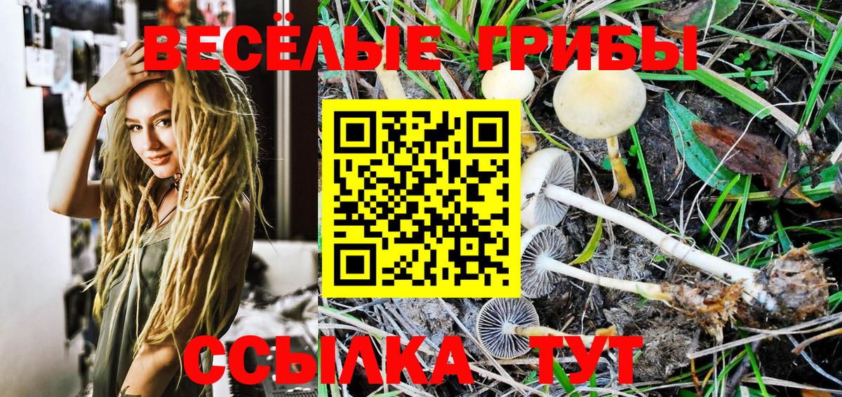 Ростов-на-Дону  Галлюциногенные грибы Psilocybe  Галлюциногенные грибы Magic Shrooms  Вход с VPN 